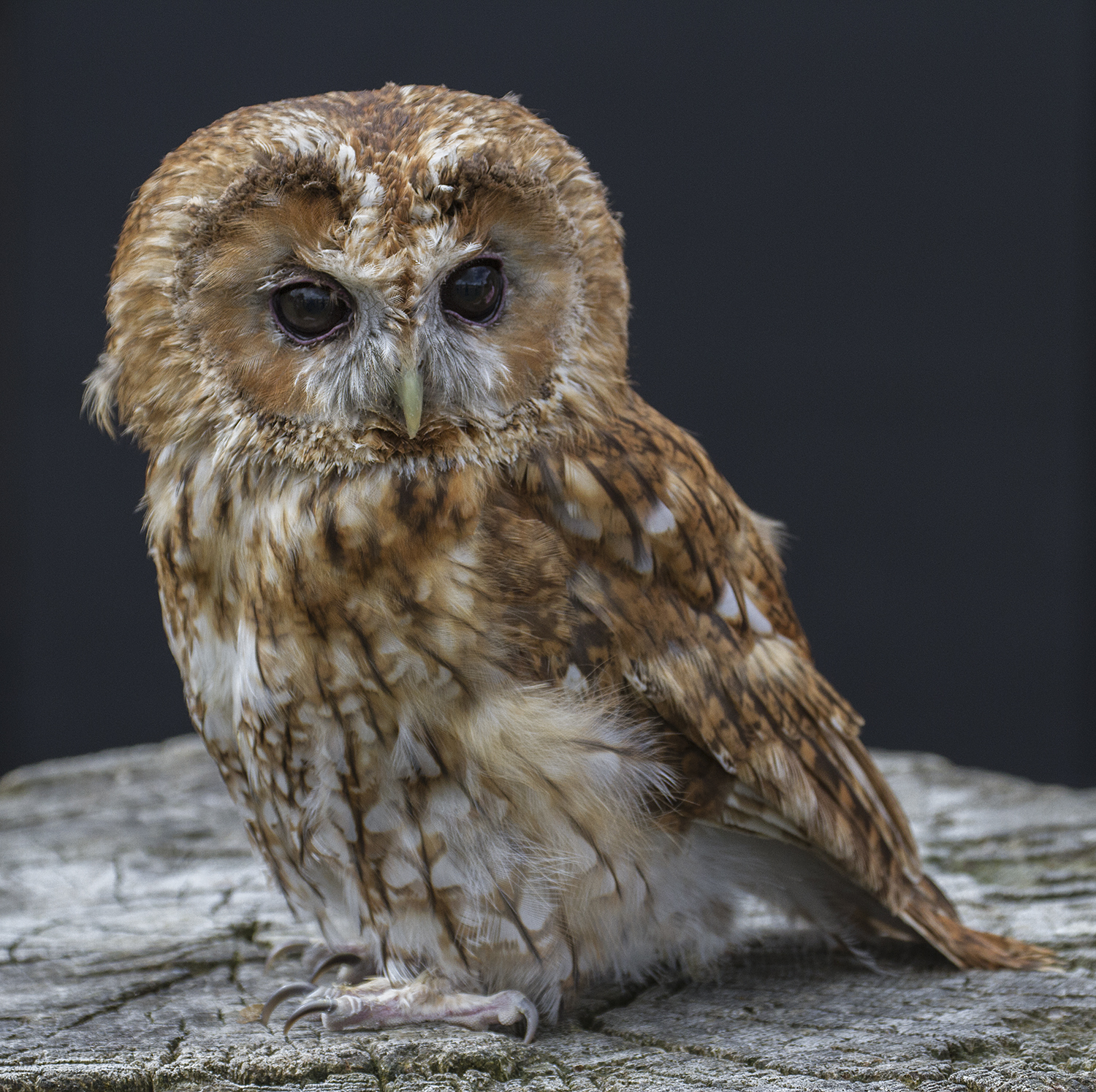 Wednesday 4th September