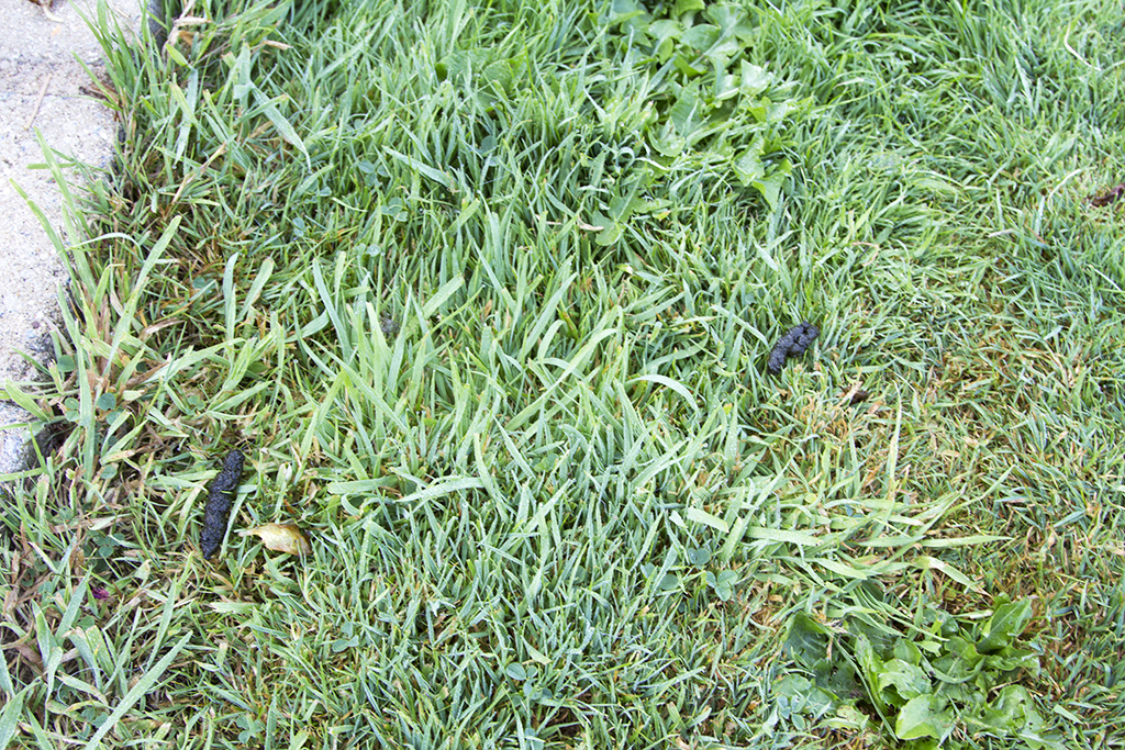 Thursday 5th September