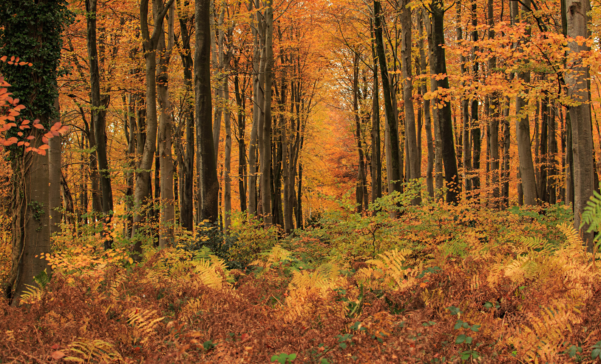 First storm of the autumn