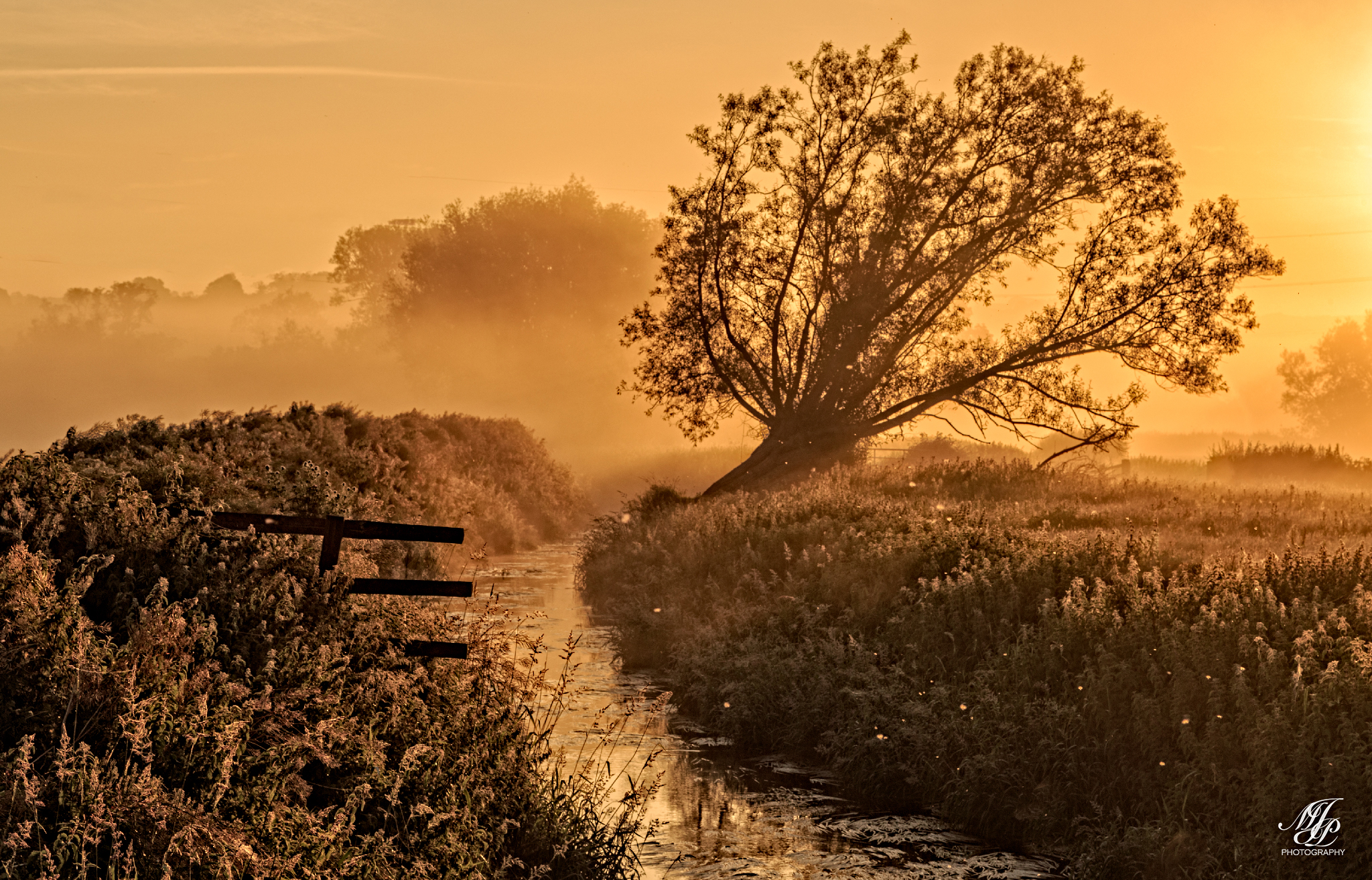 A quick trip to Somerset