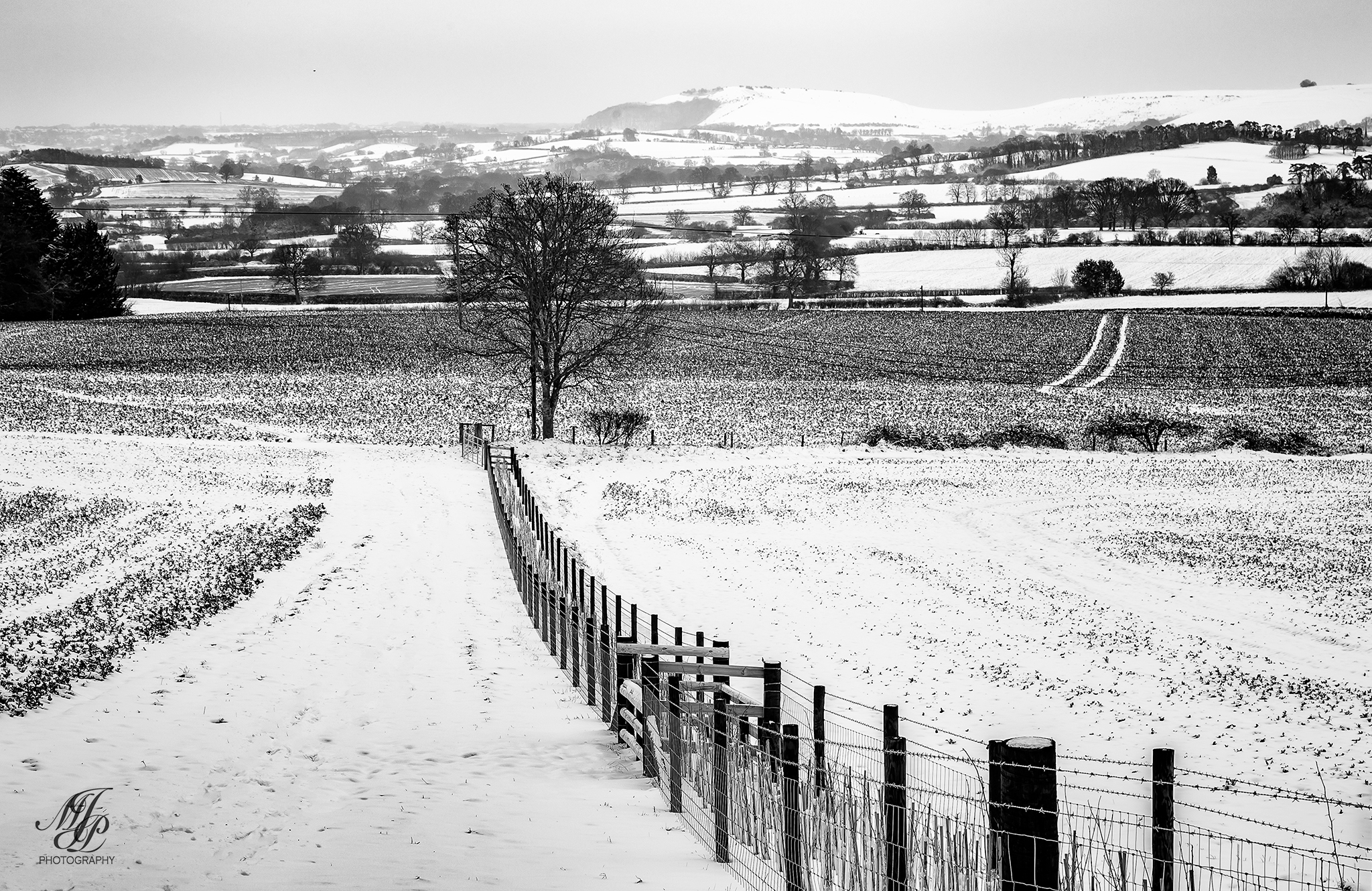 Another blast of snow!