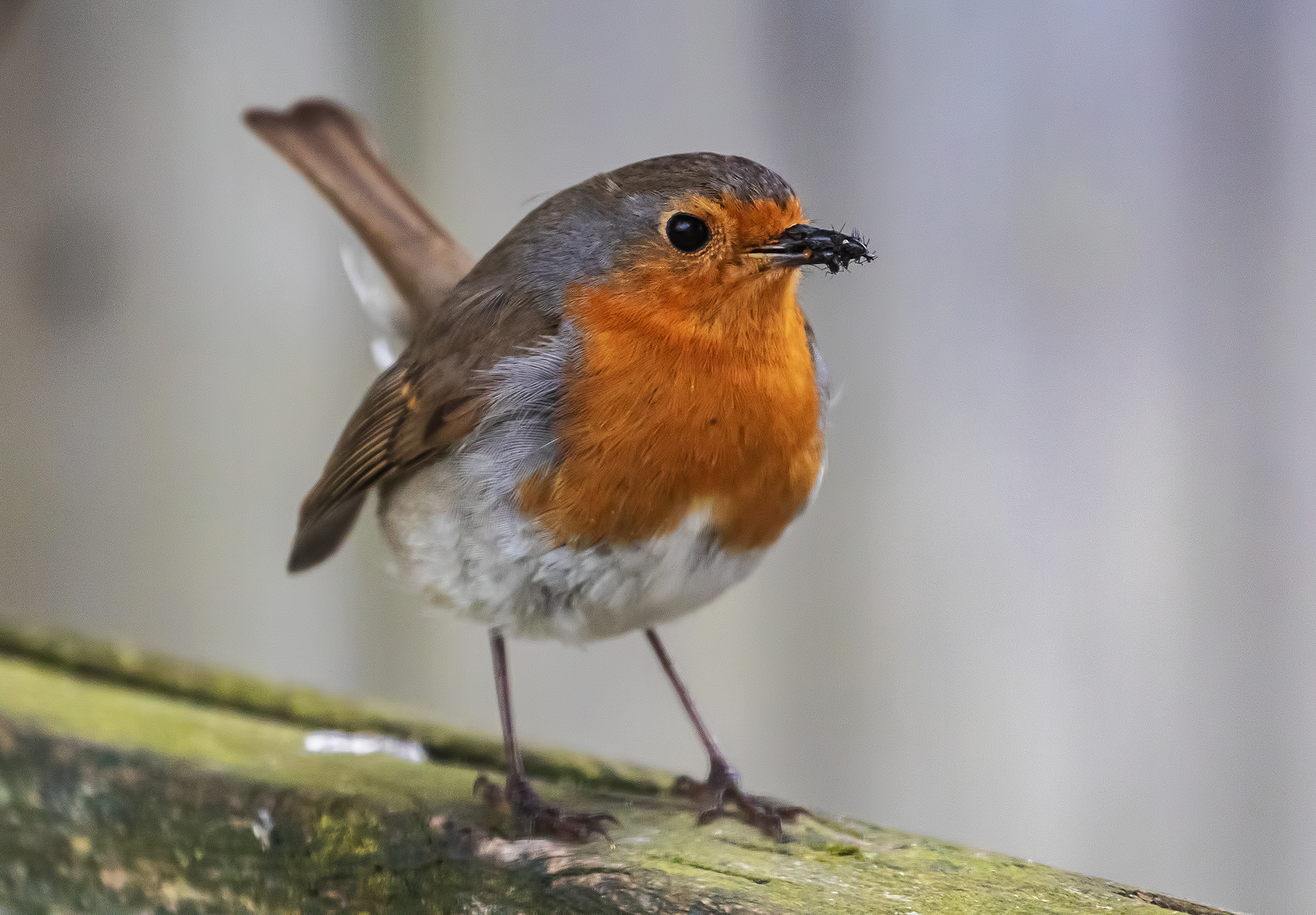 Better weather – End of April