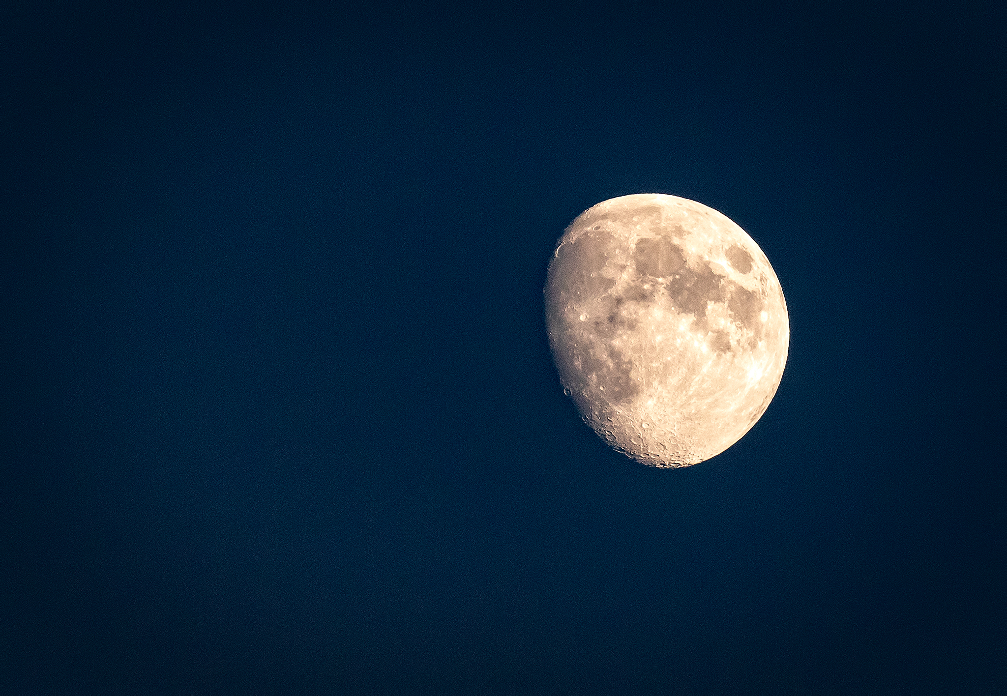 More Wildlife sightings and the Moon!