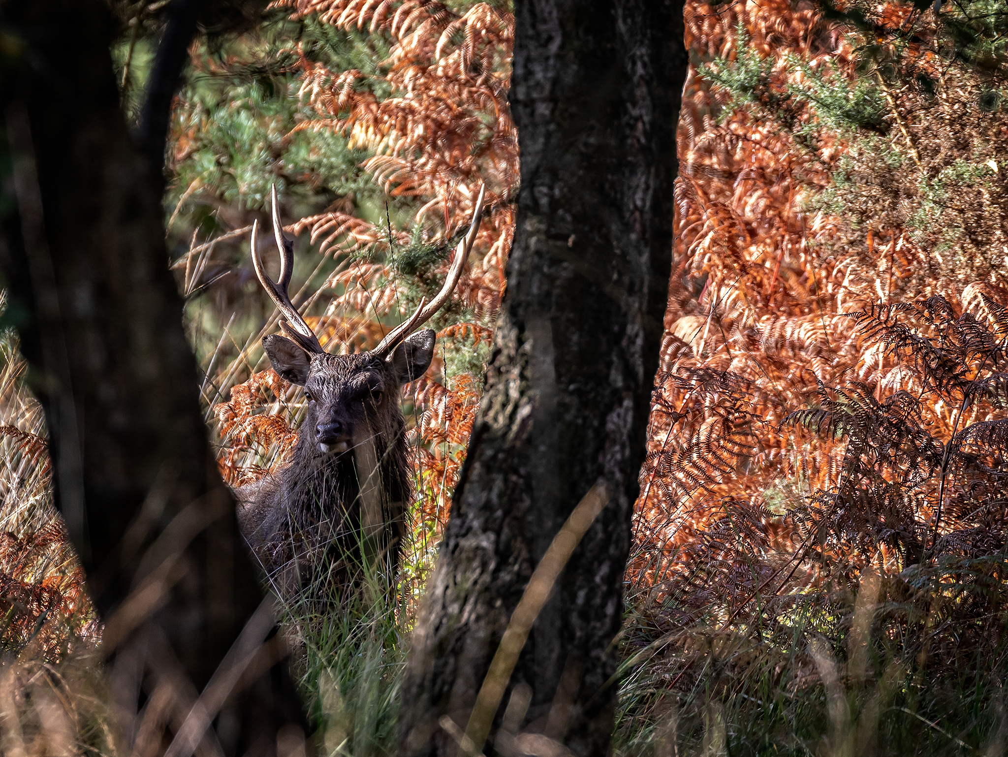 Visit to Arne and other things!