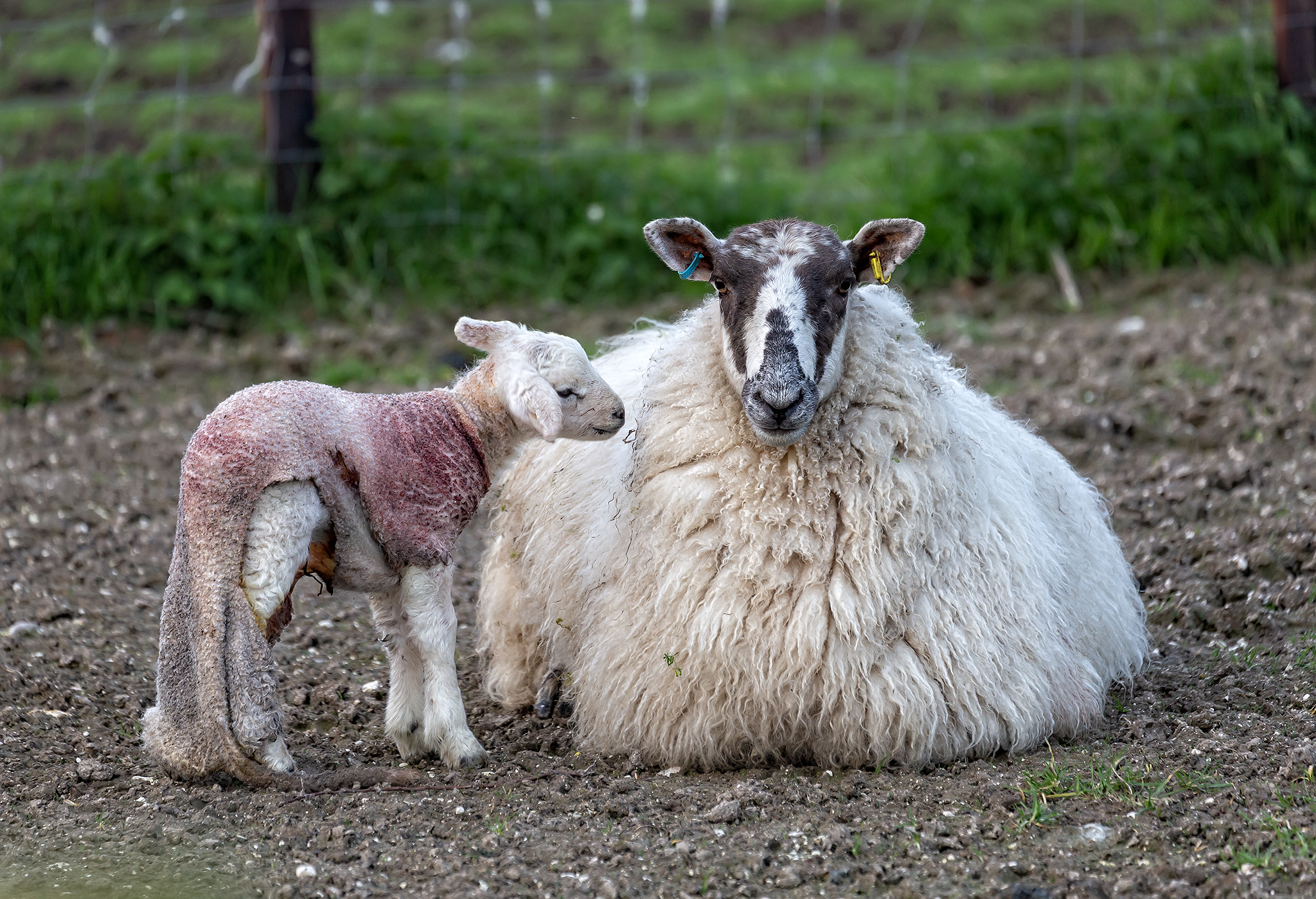 Grey but interesting!