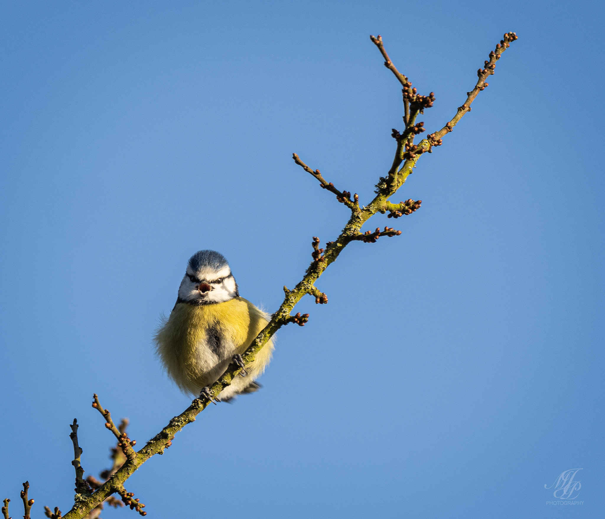 Spring just around the corner?