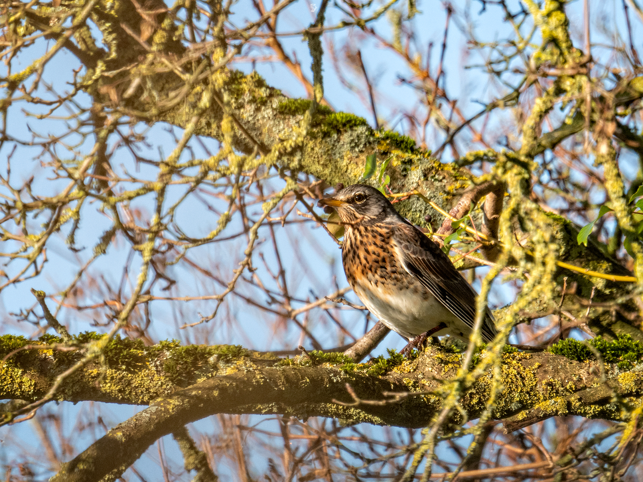 Last day of the year!