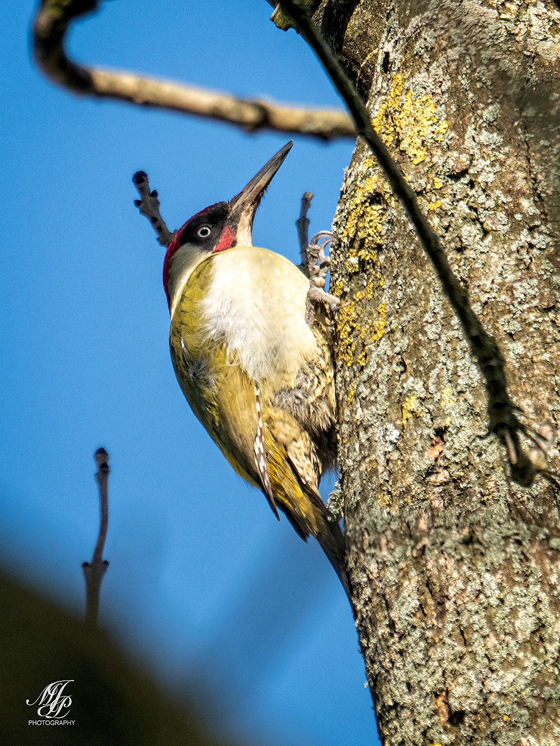 Bere Marsh & Trailway